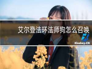 艾尔登法环法师狗怎么召唤