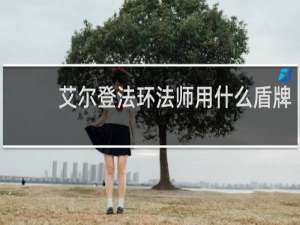 艾尔登法环法师用什么盾牌