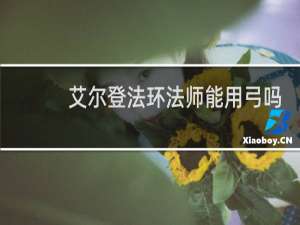 艾尔登法环法师能用弓吗