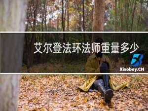 艾尔登法环法师重量多少