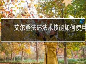 艾尔登法环法术技能如何使用