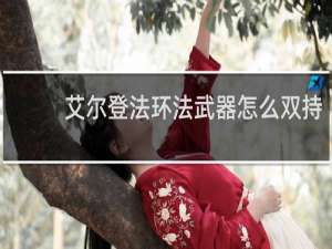 艾尔登法环法武器怎么双持