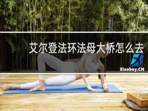 艾尔登法环法母大桥怎么去