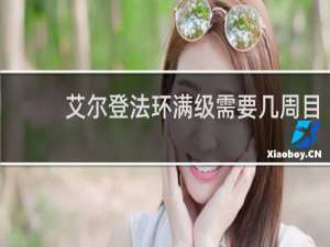艾尔登法环满级需要几周目
