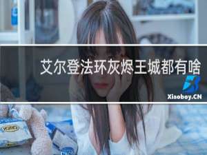 艾尔登法环灰烬王城都有啥