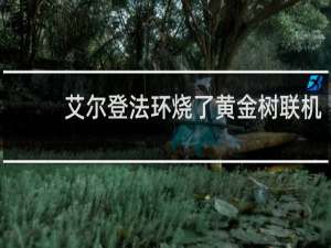 艾尔登法环烧了黄金树联机