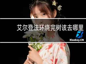 艾尔登法环烧完树该去哪里