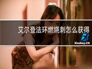 艾尔登法环燃烧刺怎么获得