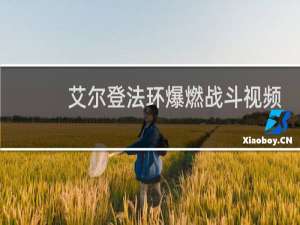 艾尔登法环爆燃战斗视频