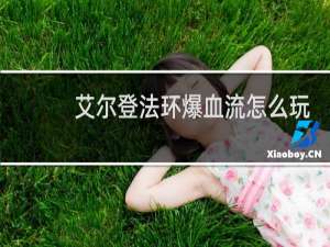 艾尔登法环爆血流怎么玩