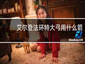 艾尔登法环特大弓用什么箭