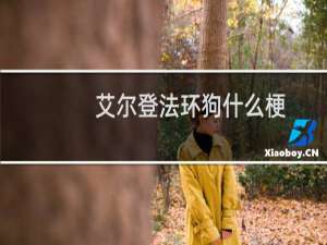 艾尔登法环狗什么梗