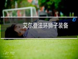 艾尔登法环狮子装备