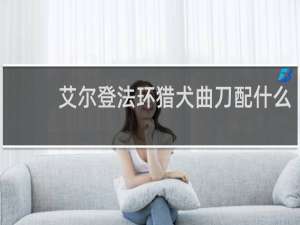艾尔登法环猎犬曲刀配什么