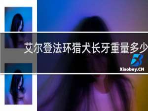 艾尔登法环猎犬长牙重量多少