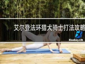 艾尔登法环猎犬骑士打法攻略