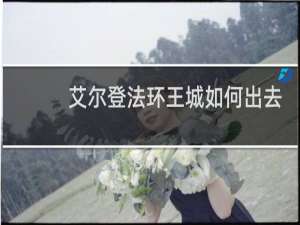 艾尔登法环王城如何出去