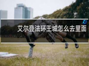 艾尔登法环王城怎么去里面