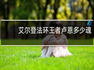艾尔登法环王者卢恩多少魂