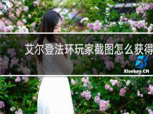 艾尔登法环玩家截图怎么获得