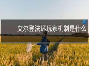 艾尔登法环玩家机制是什么