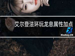 艾尔登法环玩龙息属性加点