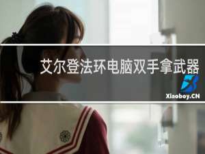 艾尔登法环电脑双手拿武器