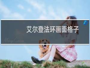 艾尔登法环画面格子