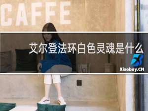 艾尔登法环白色灵魂是什么