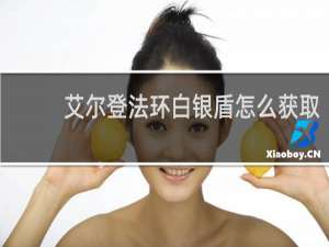 艾尔登法环白银盾怎么获取