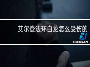 艾尔登法环白龙怎么受伤的