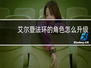 艾尔登法环的角色怎么升级