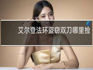 艾尔登法环盗窃双刀哪里捡