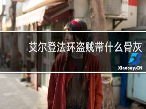 艾尔登法环盗贼带什么骨灰