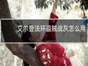 艾尔登法环盗贼战灰怎么用