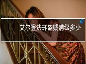 艾尔登法环盗贼满级多少