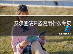 艾尔登法环盗贼用什么骨灰