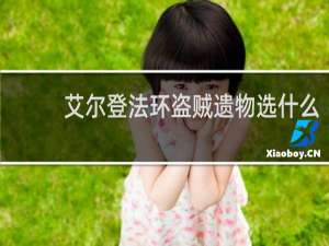 艾尔登法环盗贼遗物选什么