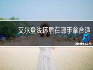 艾尔登法环盾在哪手拿合适