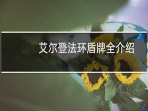 艾尔登法环盾牌全介绍