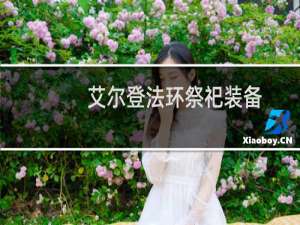 艾尔登法环祭祀装备