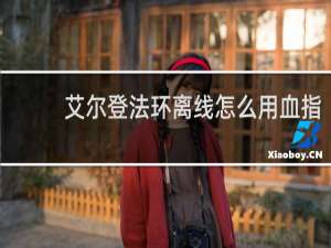 艾尔登法环离线怎么用血指