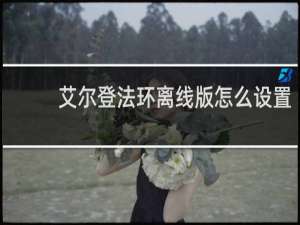 艾尔登法环离线版怎么设置