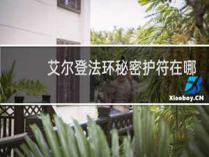 艾尔登法环秘密护符在哪