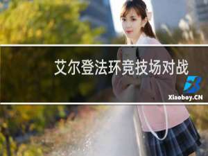 艾尔登法环竞技场对战