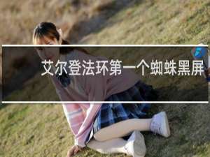 艾尔登法环第一个蜘蛛黑屏