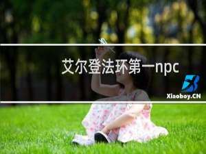 艾尔登法环第一npc