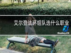 艾尔登法环组队选什么职业