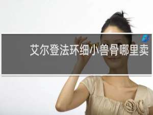 艾尔登法环细小兽骨哪里卖