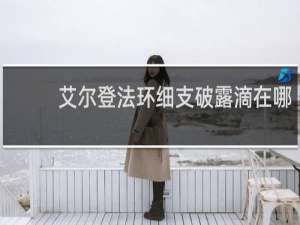 艾尔登法环细支破露滴在哪